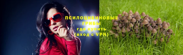 гашик Володарск