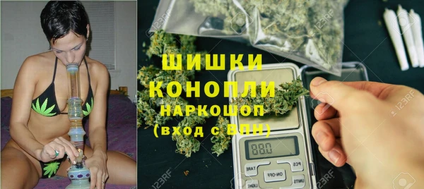 сатива Верхний Тагил