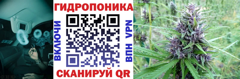 купить закладку  MEGA ONION  Бошки марихуана планчик  Инсар 